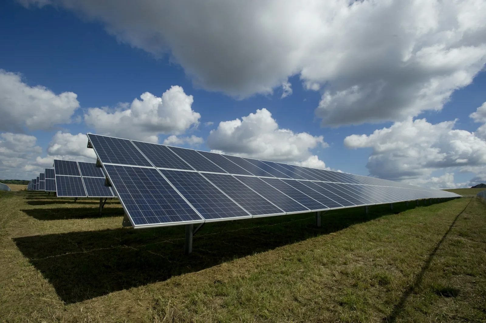 Antžeminė saulės elektrinė ant atramų virš žolės